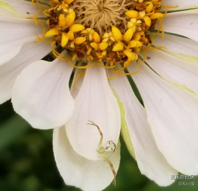 隨便玩玩都很美。