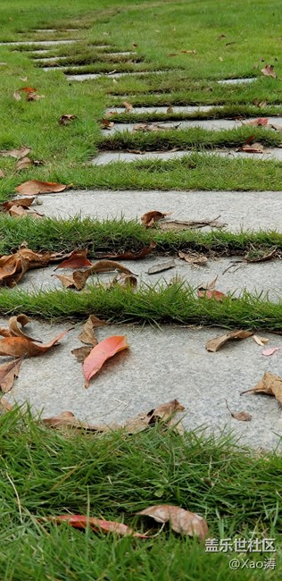 隨便玩玩都很美。