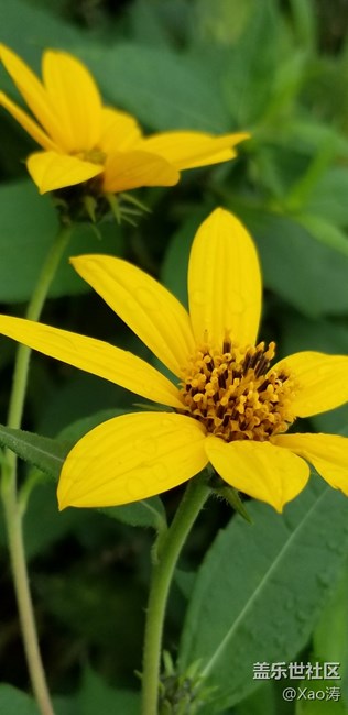 隨便玩玩都很美。