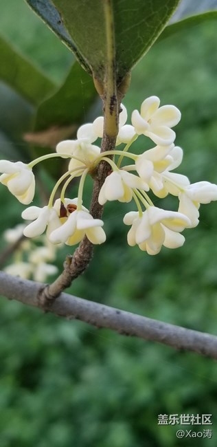 隨便玩玩都很美。