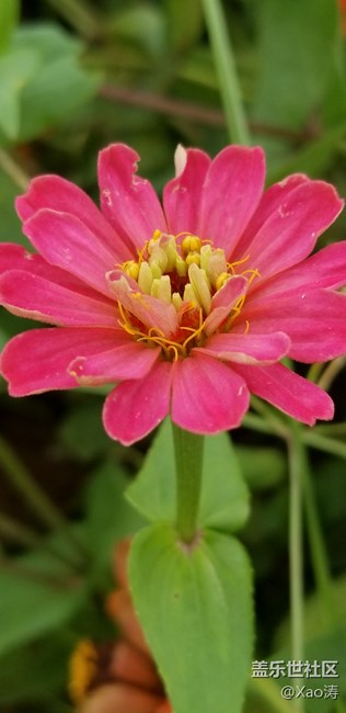 隨便玩玩都很美。