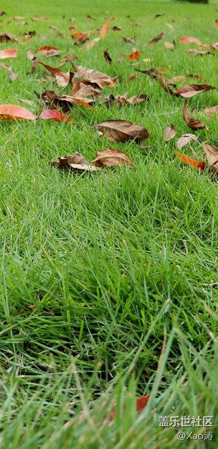 隨便玩玩都很美。