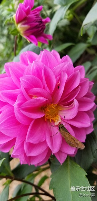 隨便玩玩都很美。