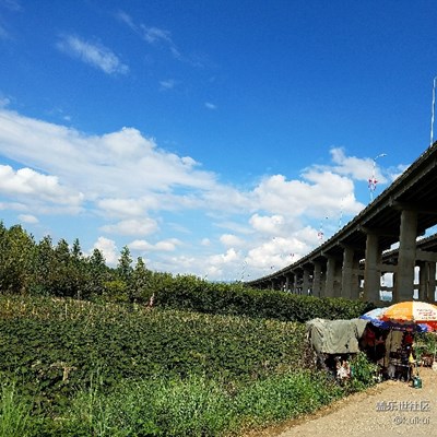 拍才知道+還來得及