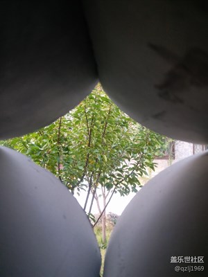 拍才知道+周末記憶