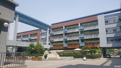 同一個城市的兩個小學(xué)，差距咋就這么大囁