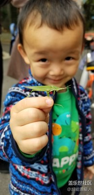拍，才知道 Note8隨手拍系列