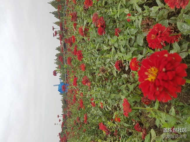 再來幾張照片~~