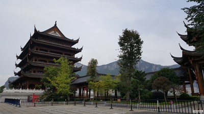 拍才知道+隨手拍拍