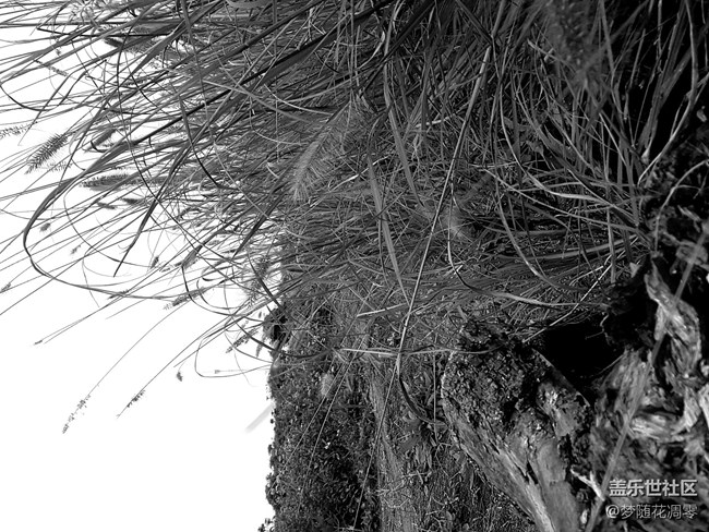 再來幾張照片~~