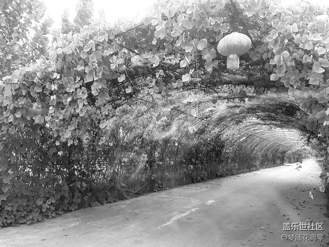 再來幾張照片~~