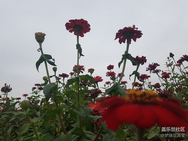 再來幾張照片~~