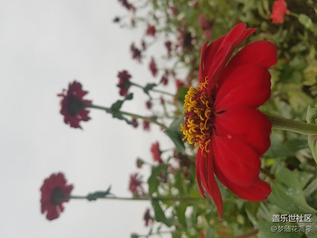 再來幾張照片~~