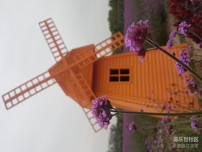 再來幾張照片~~