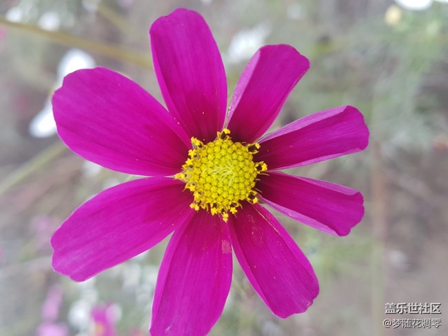 再來幾張照片~~