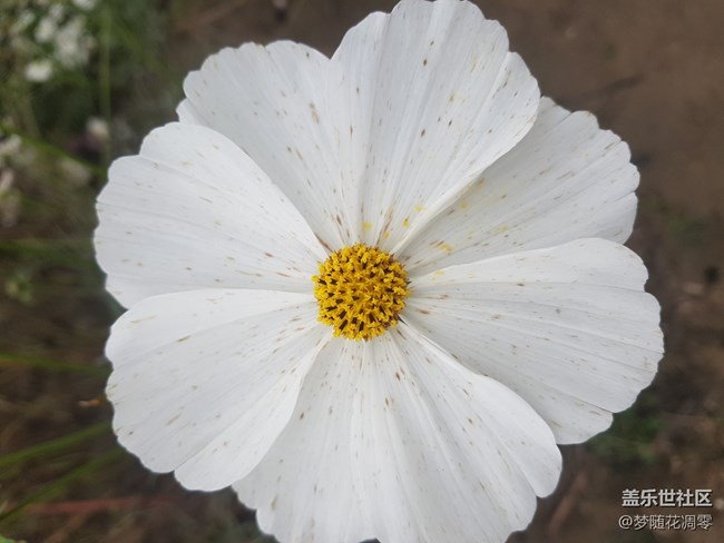 再來幾張照片~~