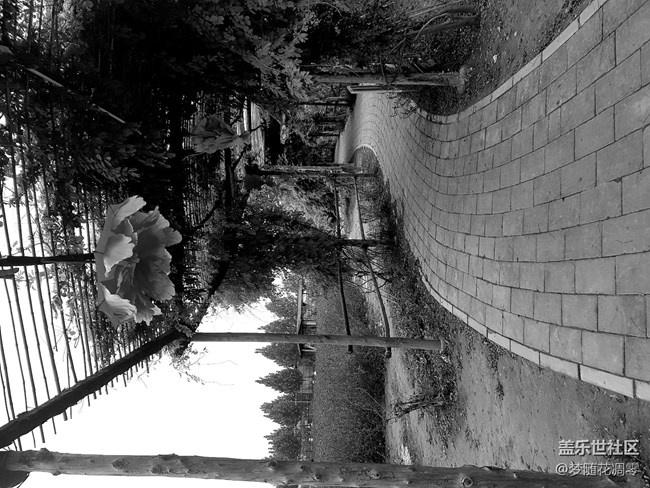 再來幾張照片~~