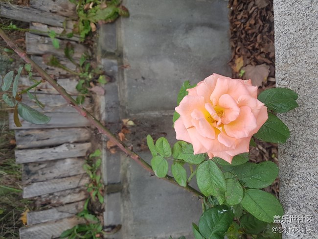 再來幾張照片~~