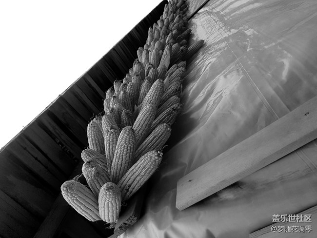 再來幾張照片~~