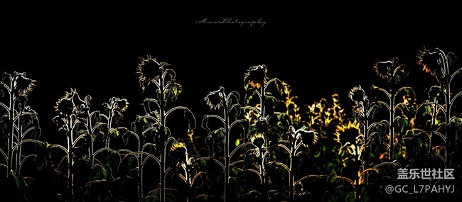 這支筆不簽字可惜了