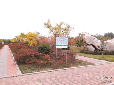 秋日開文傍與月