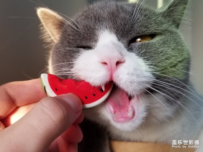 每周精帖匯【第76期：Bixby中文版內(nèi)測活動即將上線】