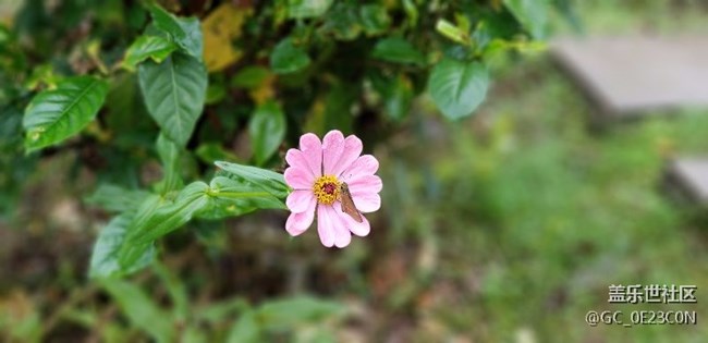 四川分公司 南達(dá)廣團(tuán)隊(duì) go to great