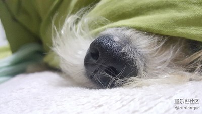 繼續(xù)二貨小鼻子