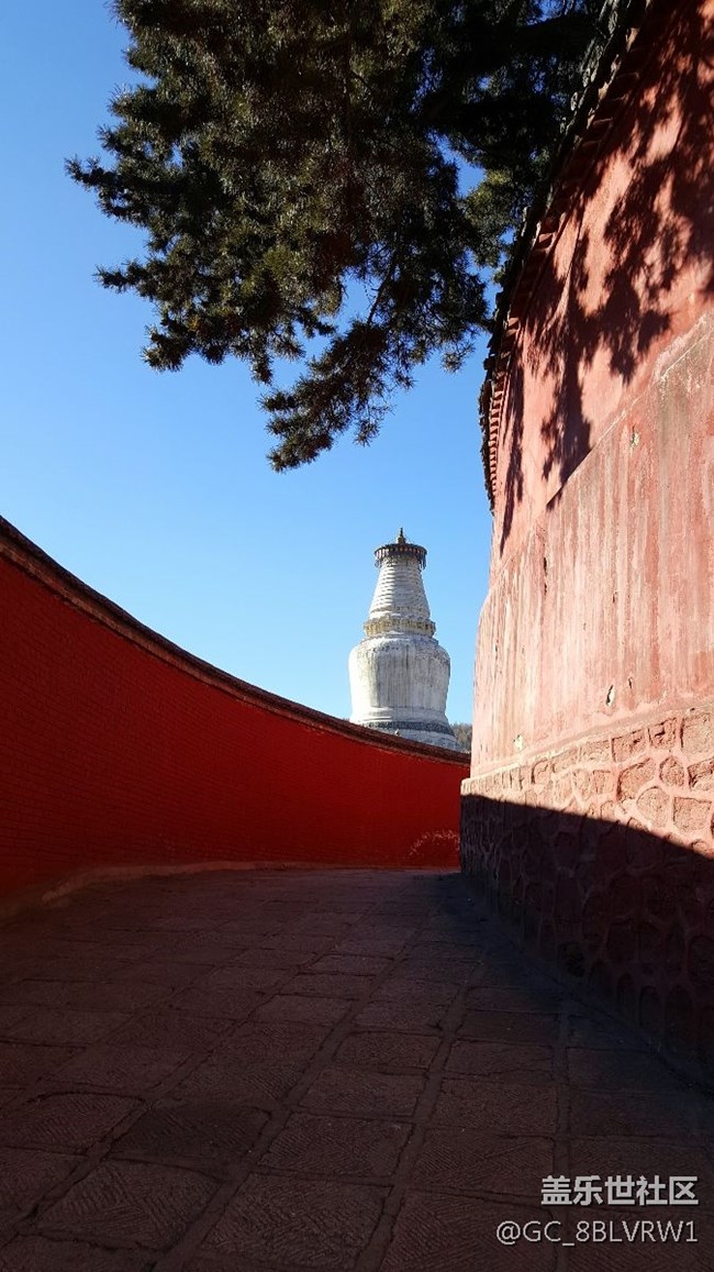 四川分公司重慶辦-黃靜-顧客的信任與支持