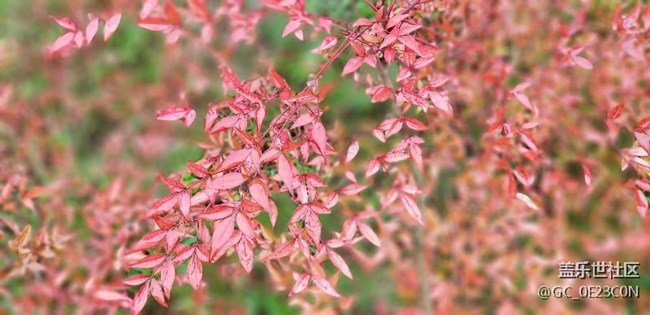 四川分公司 南達(dá)廣團(tuán)隊(duì) go to great