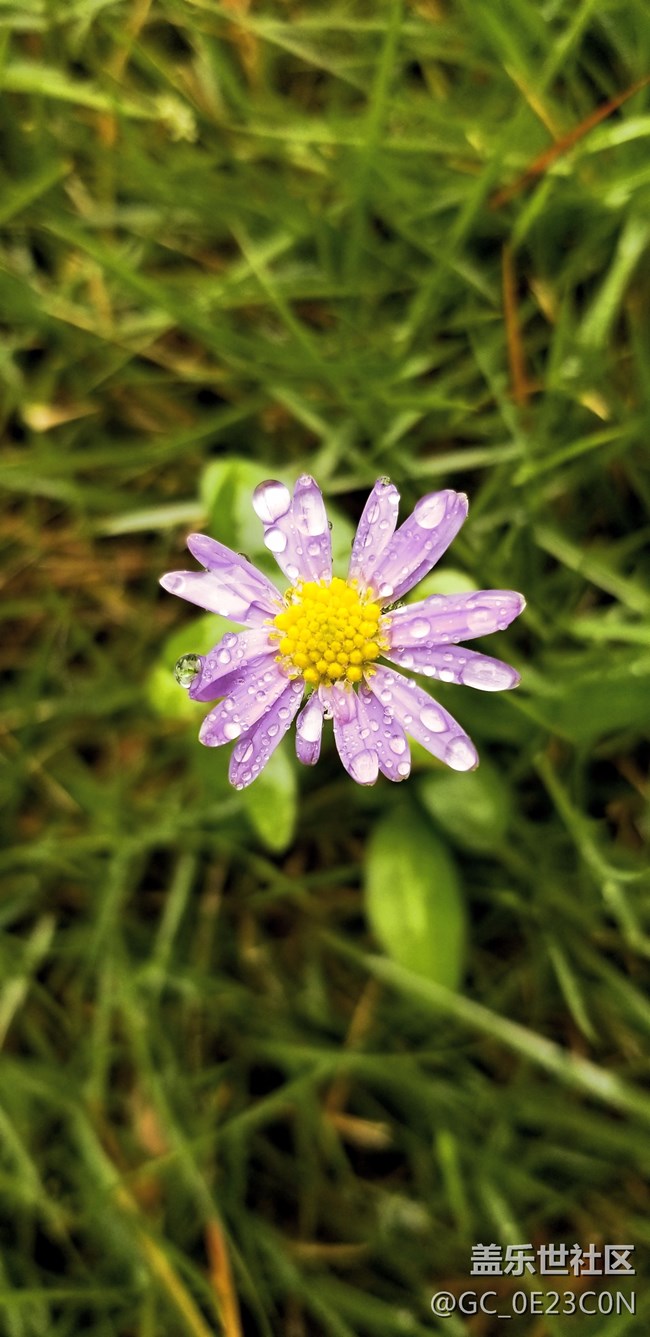 四川分公司 南達(dá)廣團(tuán)隊(duì) go to great