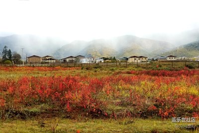 【拍，才知道】夢里天堂，香格里拉