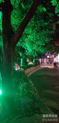 隨心拍攝。。