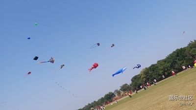 拍才知道+天高任你飛