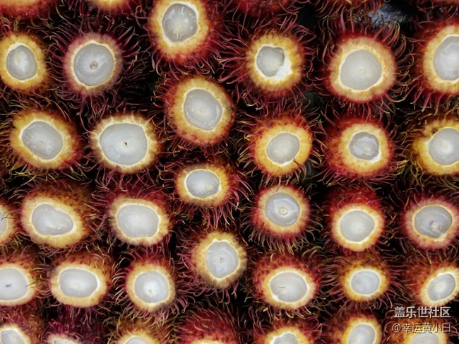 我的萬圣節(jié)……可能有不適內容……慎點……