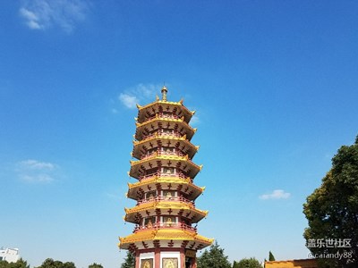 拍才知道+七寶寺