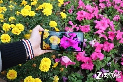 NOTE8相機(jī)評(píng)測(cè)