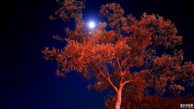 拍才知道+光影的藝術(shù)