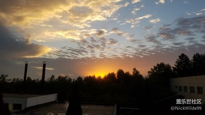 拍才知道 西農(nóng)之秋