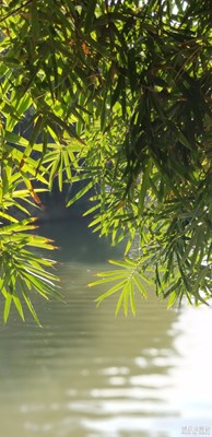 三星note8拍照不負(fù)我望