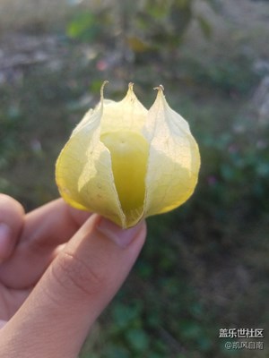 拍才知道+勾起食欲的小東東