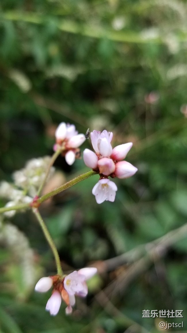 看看note8拍的照片