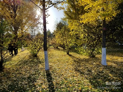 深秋，盡是思念