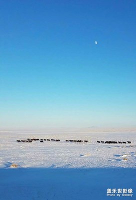 拍才知道+大美新疆