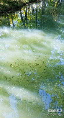 秋氣輕寒可人天。