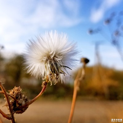 拍才知道+伊路向貝