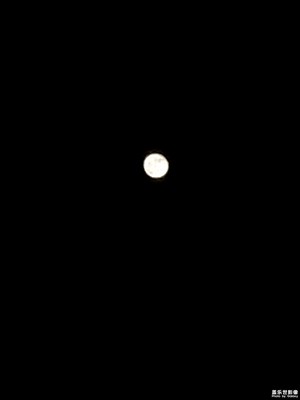 十五的月亮??十七圓