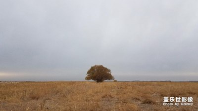 拍，才知道+隨拍