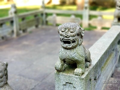 【拍，才知道】note8隨手拍幾張