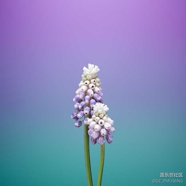 壁紙欣賞（原生）